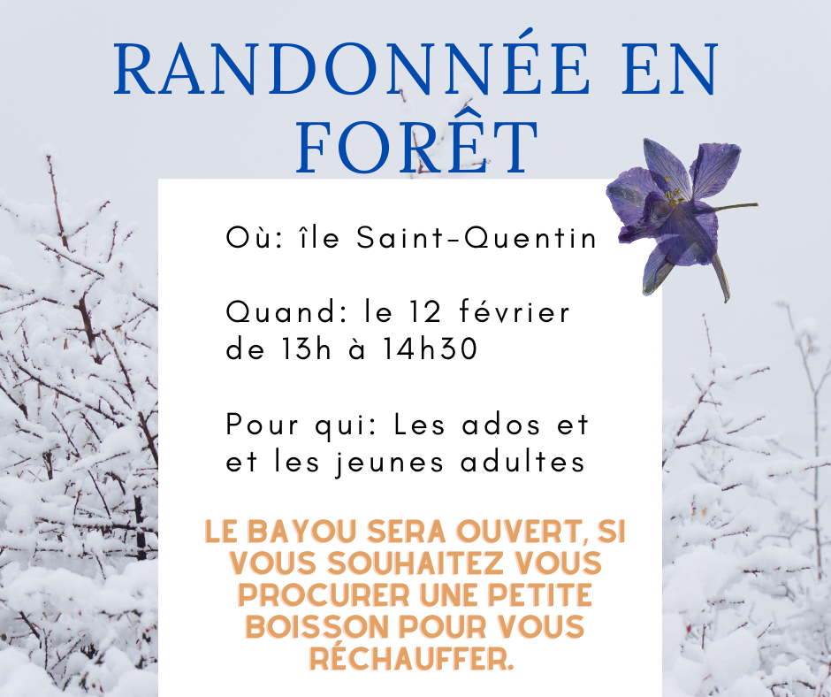 Randonnée en forêt